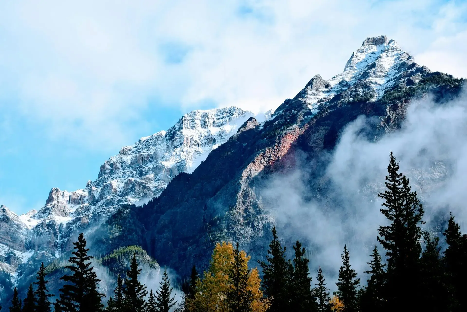 A snow-capped mountain rises above a dense forest of evergreen trees under a clear blue sky